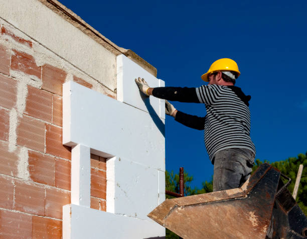 Best Fiberglass Insulation in Wyoming, DE