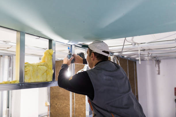 Professional Insulation Contractor in Wyoming, DE