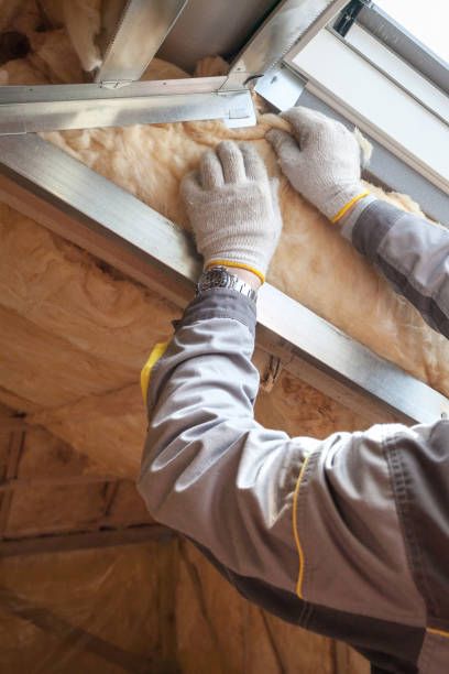 Best Commercial Insulation in Wyoming, DE