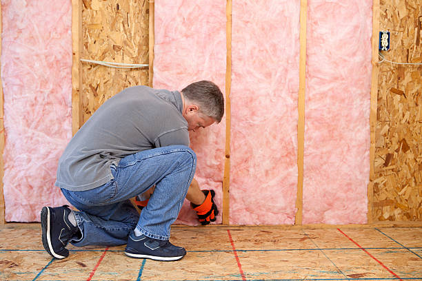 Best Insulation Maintenance and Repair in Wyoming, DE