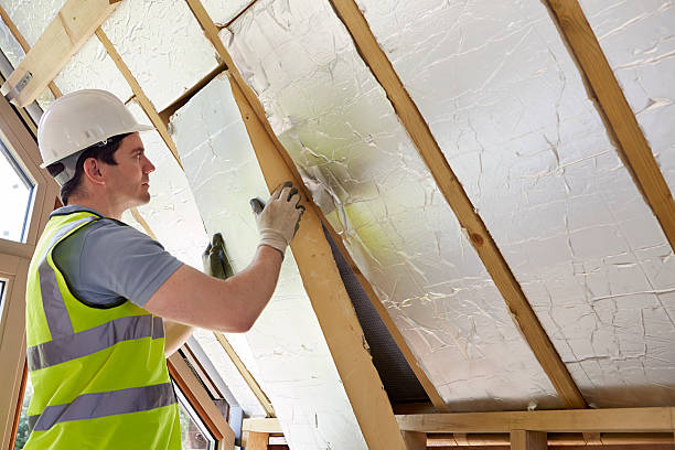 Professional Insulation Contractor in Wyoming, DE